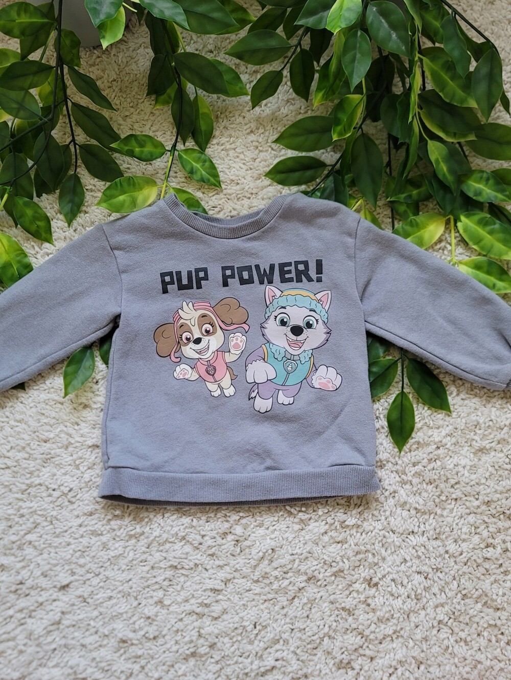 Baby Girl Paw Patrol Sweatshirt (6-9 Months)